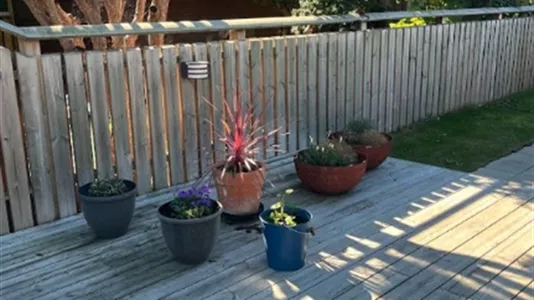 Houses in Vellinge - photo 15