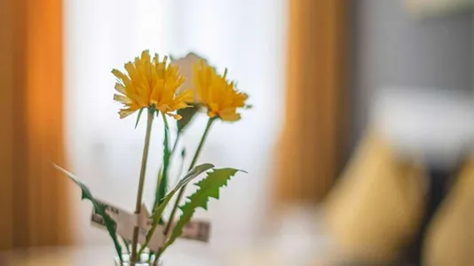 Rooms in Milano Zona 2 - Stazione Centrale, Gorla, Turro, Greco, Crescenzago - photo 4