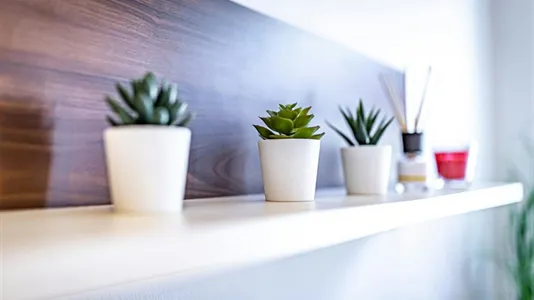 Apartments in Wien Ottakring - photo 7