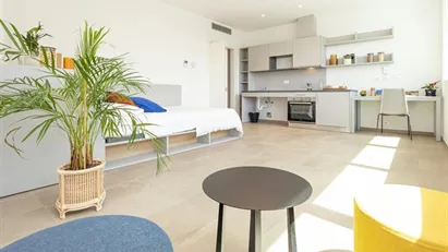 Apartment for rent in Florence, Toscana