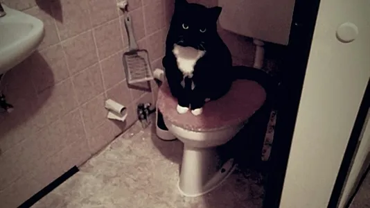 Rooms in Cologne Mülheim - photo 10