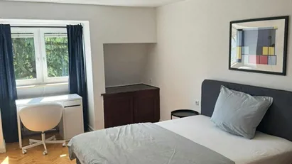 Apartment for rent in Cologne (region)