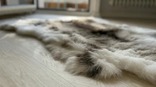 Apartments in Dusseldorf - photo 6