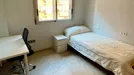 Room for rent, Castellón de la Plana/Castelló de la Plana, Comunidad Valenciana, Camí de Sant Josep