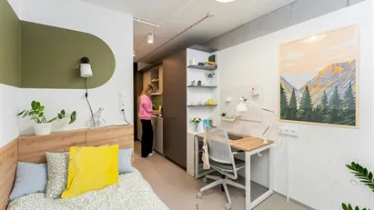 Room for rent in Warszawa Śródmieście, Warsaw