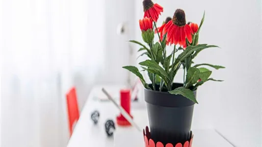 Rooms in Sesto San Giovanni - photo 3