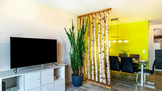 Apartments in Pforzheim - photo 5