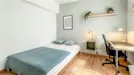 Room for rent, Valladolid, Castilla y León, Calle Numancia