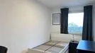 Room for rent, Essen, Nordrhein-Westfalen, Busehofstraße