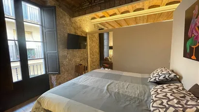 Apartment for rent in Barcelona Ciutat Vella, Barcelona