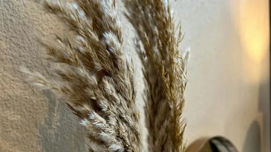 Apartments in Roosendaal - photo 5