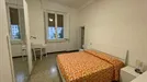 Room for rent, Florence, Toscana, Via Ferdinando Paoletti