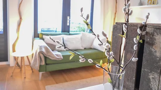 Apartments in Amsterdam Oud-West - photo 5