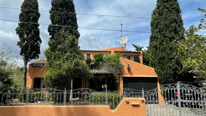 House for rent in Sartène, Corse House for rent in Sartène, Corse