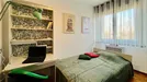 Room for rent, Padua, Veneto, Via Fratelli Carraro