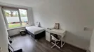 Room for rent, Nissewaard, South Holland, Frans Halsstraat