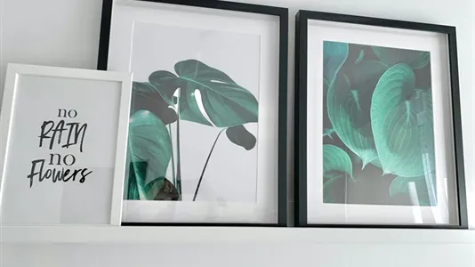 Rooms in Murcia - photo 9