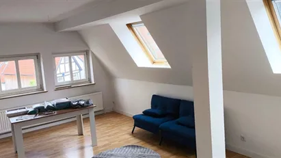 Apartment for rent in Lippe, Nordrhein-Westfalen