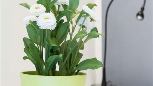 Rooms in Milano Zona 2 - Stazione Centrale, Gorla, Turro, Greco, Crescenzago - photo 8