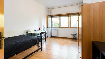 Room for rent in Roma Municipio VIII – Appia Antica, Rome