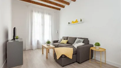 Apartment for rent in Barcelona Ciutat Vella, Barcelona