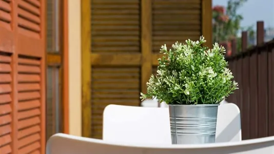 Rooms in Milano Zona 2 - Stazione Centrale, Gorla, Turro, Greco, Crescenzago - photo 4