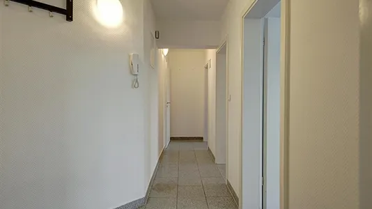 Rooms in Stuttgart Bad Cannstatt - photo 9