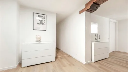 Rooms in Padua - photo 7