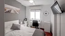 Room for rent, Alcalá de Henares, Comunidad de Madrid, Ronda Pescadería