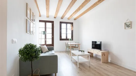 Apartments in Barcelona Ciutat Vella - photo 8