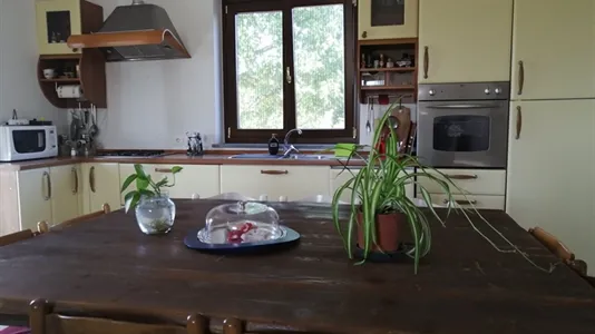 Rooms in Mondovì - photo 5