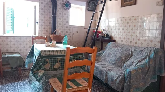 Apartments in Segni - photo 5