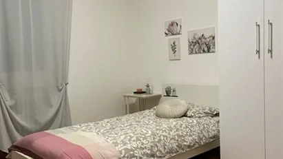 Room for rent in Padua, Veneto