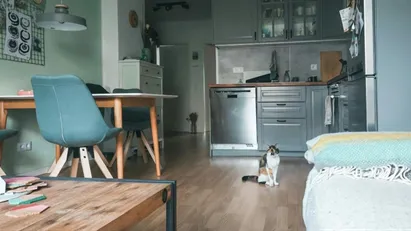 Apartment for rent in Berlin Treptow-Köpenick, Berlin