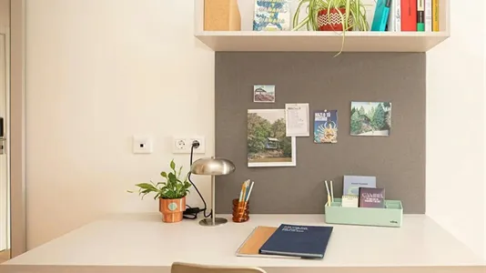 Rooms in Salamanca - photo 8