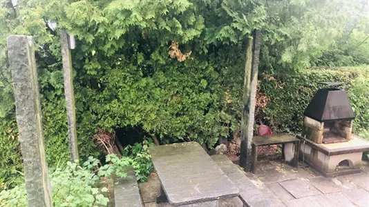 Rooms in Bülach - photo 9