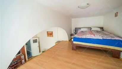 Apartment for rent in Budapest Erzsébetváros, Budapest