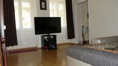 Apartment for rent in Budapest Terézváros, Budapest