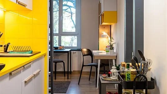 Rooms in Wrocław - photo 5