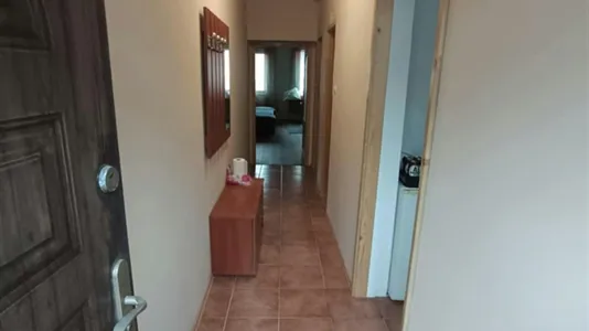 Apartments in Szegedi - photo 10