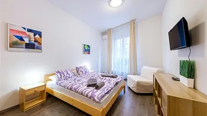 Apartment for rent in Budapest Erzsébetváros, Budapest