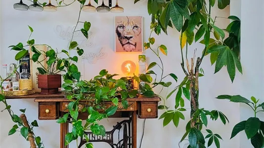 Apartments in Lausanne - photo 6