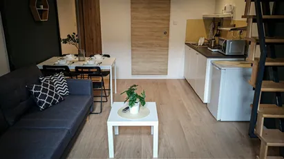 Apartment for rent in Budapest Erzsébetváros, Budapest