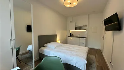 House for rent in Berlin Mitte, Berlin