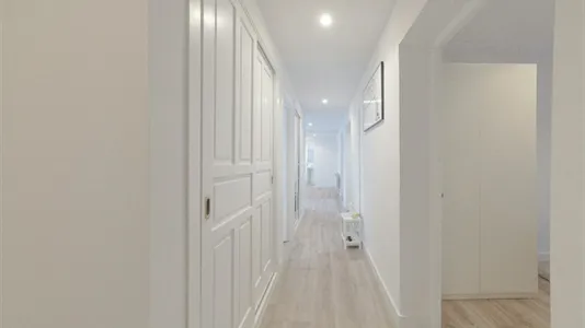 Rooms in Madrid Centro - photo 8