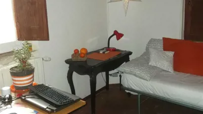 Room for rent in Pisa, Toscana