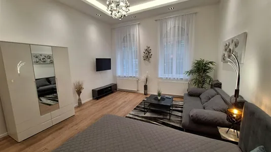Apartments in Budapest Erzsébetváros - photo 9