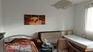 Room for rent, Berlin Steglitz-Zehlendorf, Berlin, Paul-Schneider-Straße