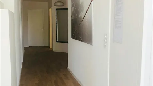 Rooms in Bülach - photo 8