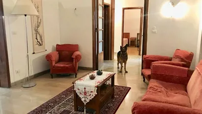 Room for rent in Florence, Toscana